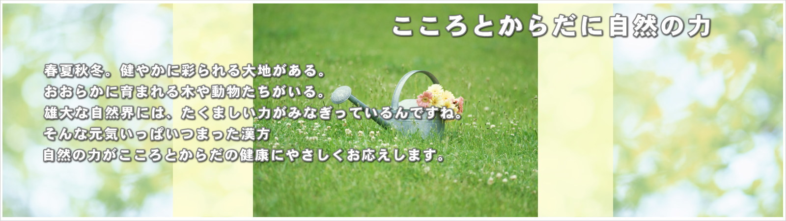 漢方専門の安達漢方薬局です。愛知県一宮市にて安全で高い品質の漢方薬を扱う漢方専門の薬局です。